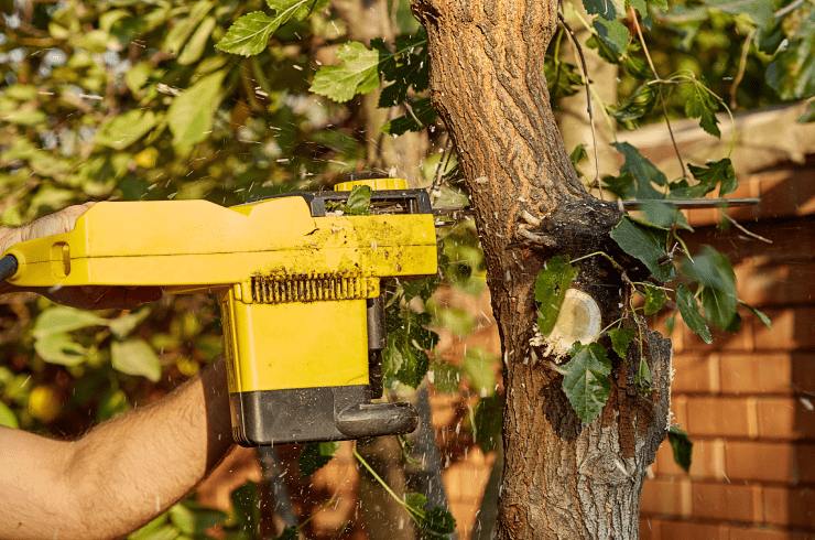 Dave's Stump Grinding